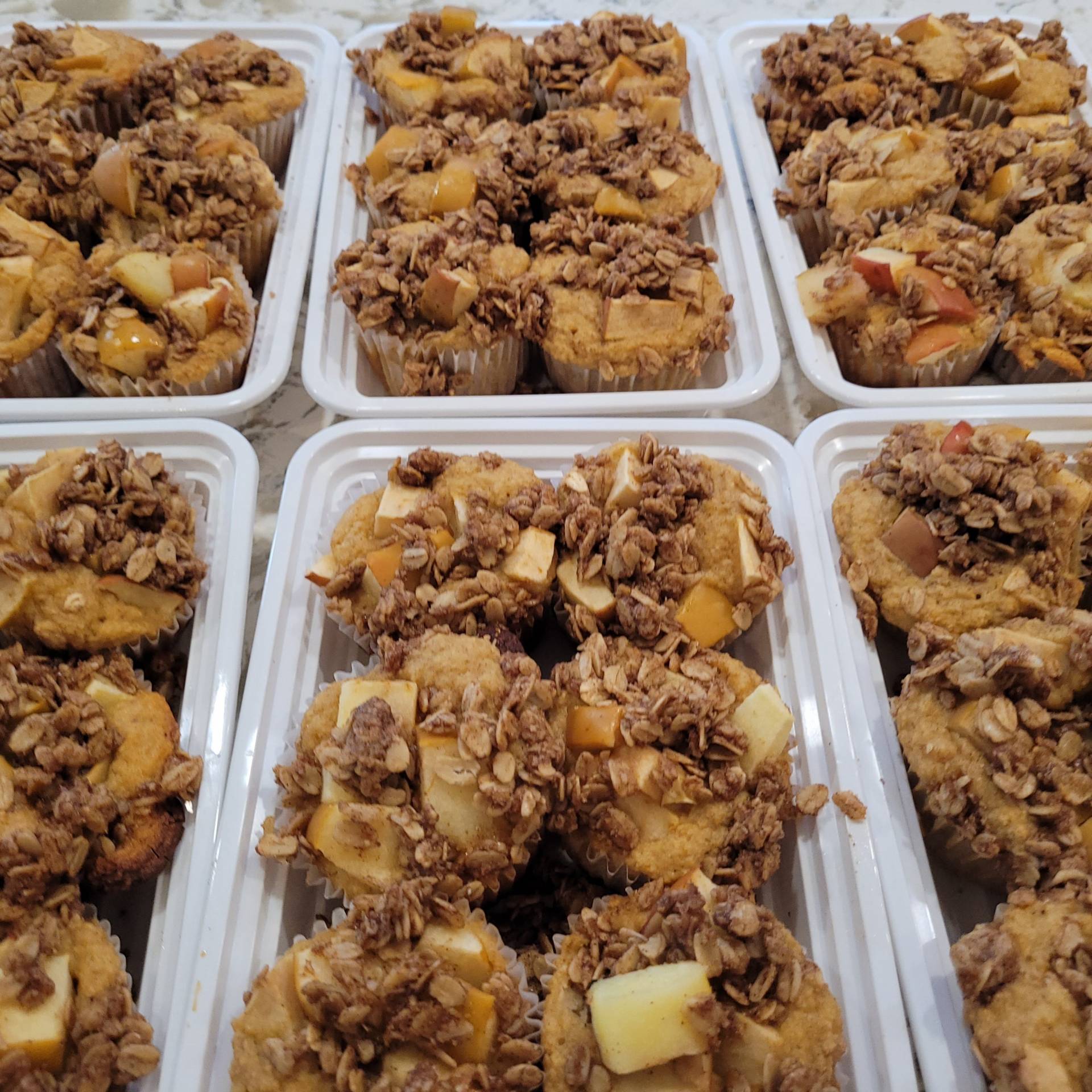 Apple Oat Muffins- Individual Portions